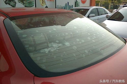 汽车起泡膜多少钱