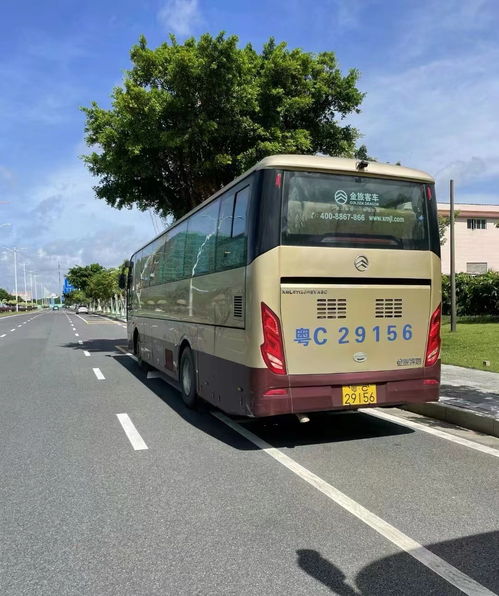 遵义到镇雄汽车多少钱
