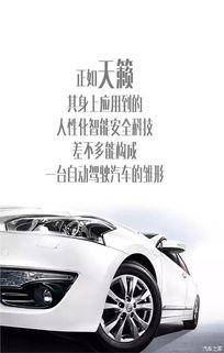 威姆大师汽车膜多少钱