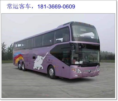 西华到郑州汽车多少钱