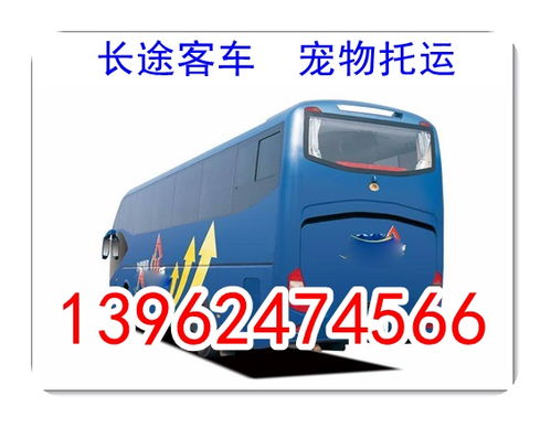 泰安到合肥多少钱汽车