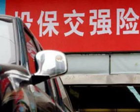二手汽车交强险多少钱