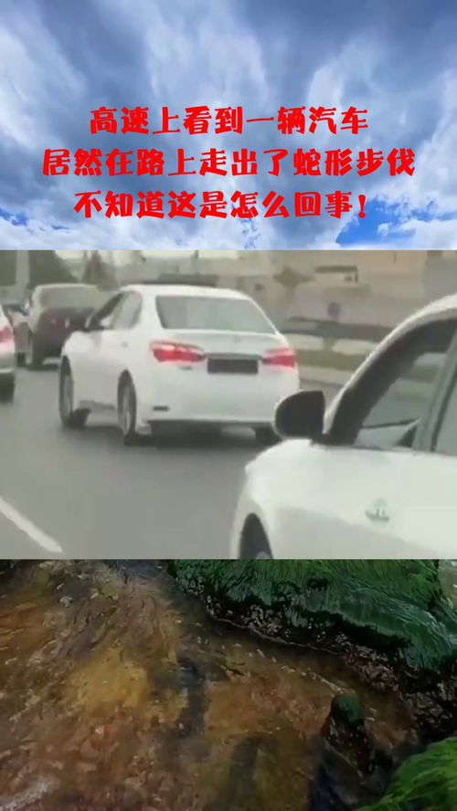 汽车最快速度多少步