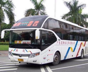 永嘉到乐清汽车价格多少