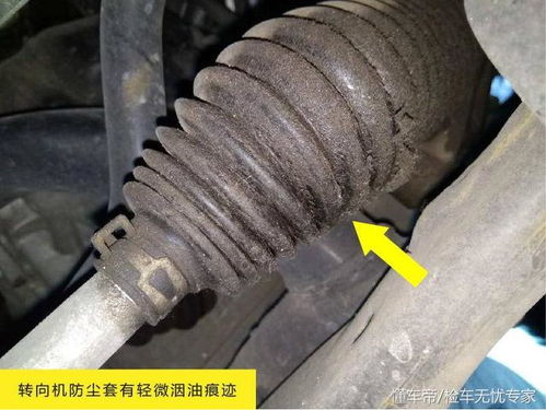 舟山汽车油管多少钱