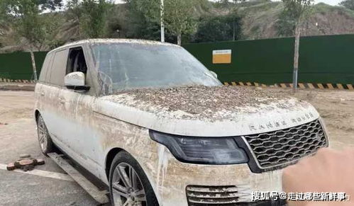 郑州有多少汽车被水泡