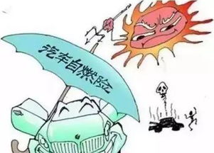 汽车着火保险能赔多少