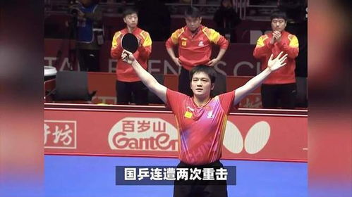 樊振东 王曼昱等拟获国家级表彰