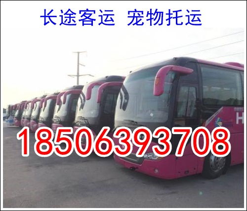 东莞到容县汽车费多少