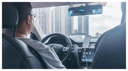 共享汽车跑滴滴收入多少