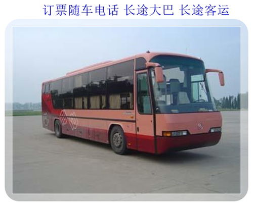 威海到青岛汽车多少钱 威海到青岛汽车多少钱