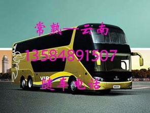 泸西到昭通汽车多少钱