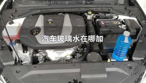 汽车玻璃水加多少