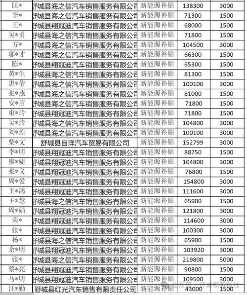 舒城汽车补贴多少天