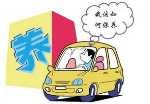 德州学汽车保养多少钱