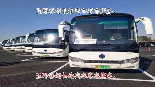 蒙城到亳州汽车多少钱