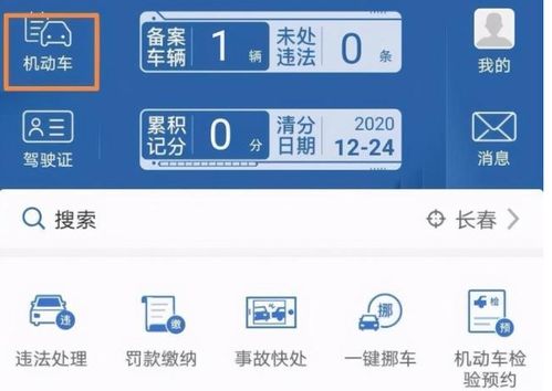 汽车违章多少收到信息