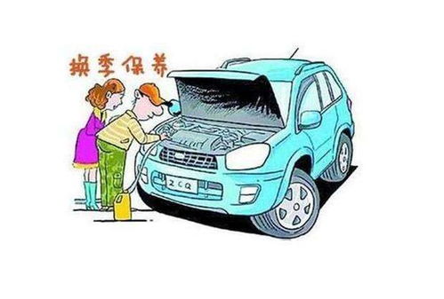 汽车做个保养多少元