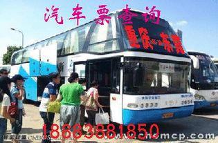 鹤山到东莞汽车多少钱