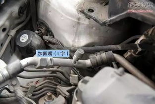 汽车加氟一般多少克