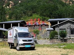 奉节到吐祥汽车多少钱