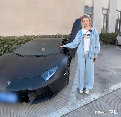 痞幼汽车多少钱
