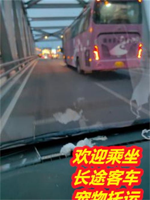 廉江到湛江汽车多少钱