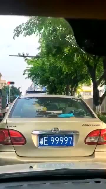 保定汽车上牌照多少钱
