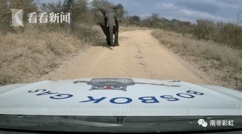 非洲汽车多重多少吨