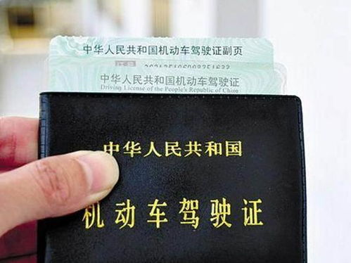 汽车上路需要多少证件 汽车上路需要多少证件