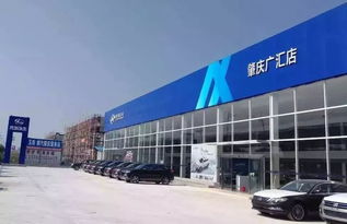 广汇汽车全国店铺多少名