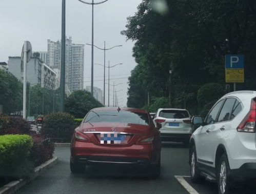 汽车停放多少天合适