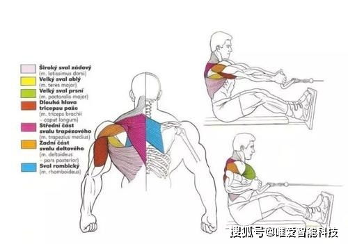 按摩是真有用还是智商税