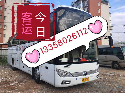 武义到泸州汽车多少钱