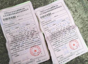 河南汽车罚款多少