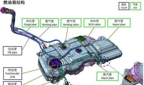 汽车油箱每次加多少油