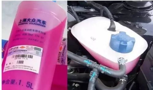 大庆汽车防冻液价格多少