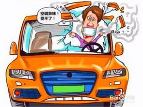 汽车去异味多少钱