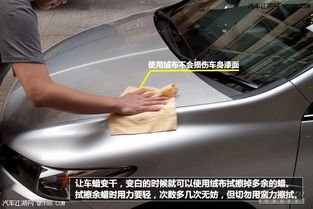 汽车清洗打蜡多少钱