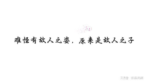 难怪有故人之姿 原来是故人外甥