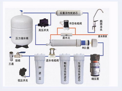 北方春天是南方人诱捕器