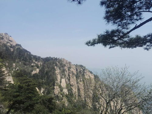 五一假期泰山上演\堵山\