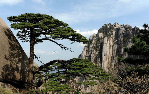 黄山3天捡了18个孩子