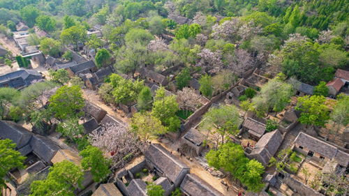 景区\跟着团长打县城\项目火出圈 景区\跟着团长打县城\项目火出圈
