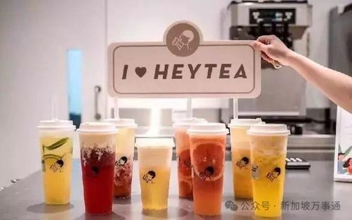办公室轮流请奶茶好窒息