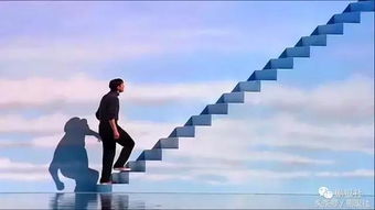 亲爱的楚门 我去了你向往的斐济
