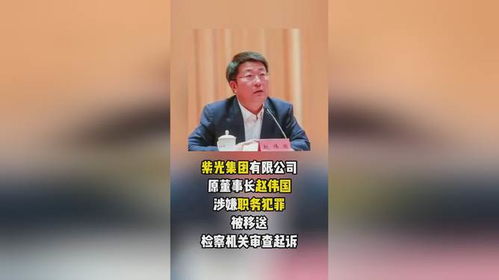 紫光集团原董事长被判死缓