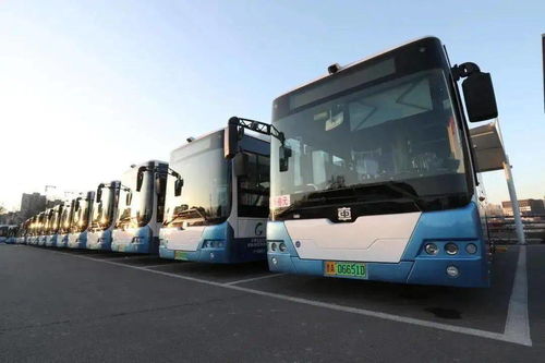 利津路汽车站有多少班车(利津路汽车站的班车运营概况)