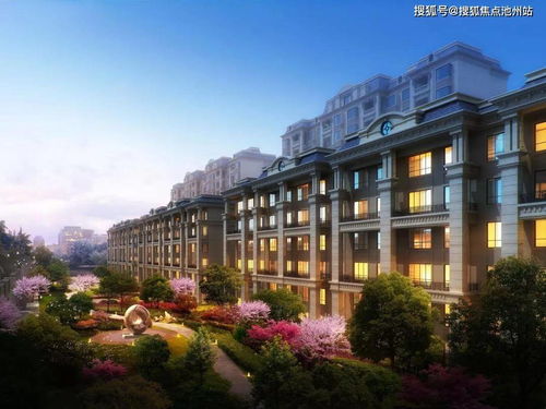 汽车阻尼杆多少(汽车阻尼杆数量解析，多少才合适？