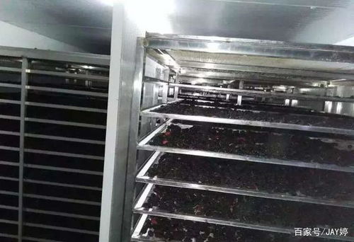 汽车进水烘干多少(汽车进水烘干全解析,从湿透到焕然一新的秘密之旅) 汽车进水烘干多少(汽车进水烘干全解析,从湿透到焕然一新的秘密之旅)